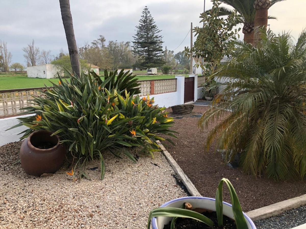 Carrer Voramar 11 Villa L'Eucaliptus Eksteriør bilde